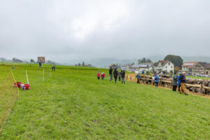 Appenzell, Appenzell Ausserrohden, Autumn, Fall, Herbst, Hundwil, Landwirtschaft, Schweiz, Sennen, Suisse, Switzerland, Tracht, Viehschau, Wirtschaft, tradition