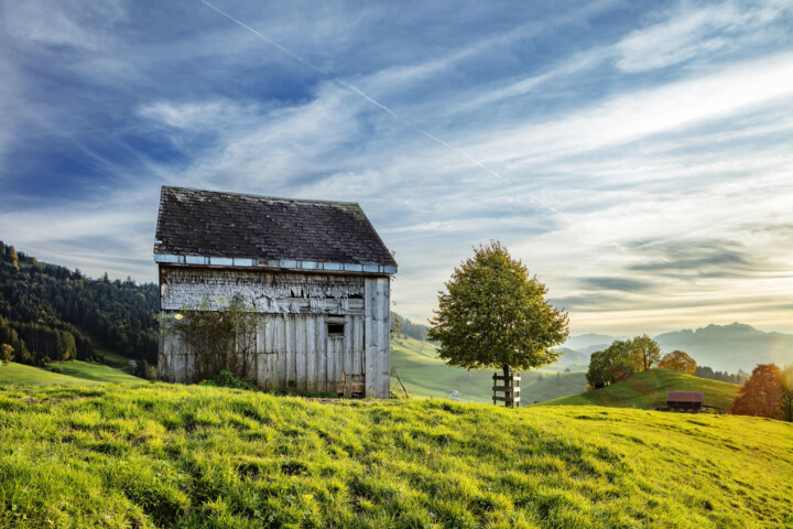 Abend, Appenzell, Appenzell Ausserrohden, Appenzeller Hinterland, Autumn, Baum, Bäume, Fall, Haus, Herbst, Hundwil, Hütte, Schweiz, Suisse, Switzerland, Tree, Trees, Wald