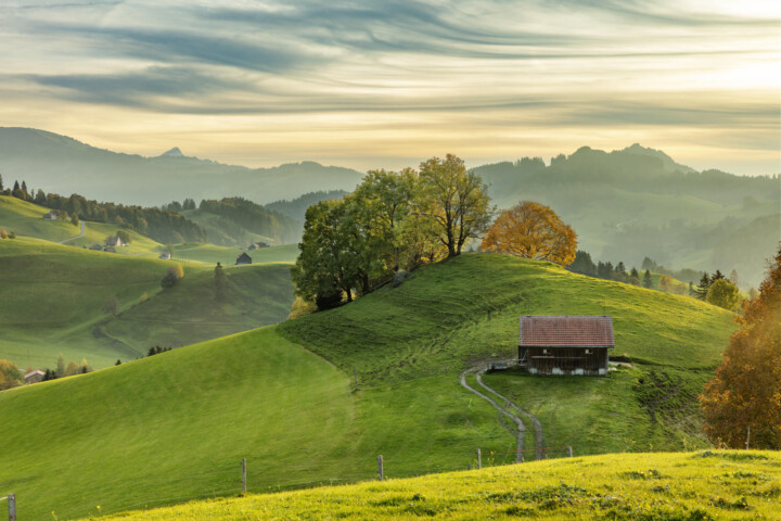 Abend, Appenzell, Appenzell Ausserrohden, Appenzeller Hinterland, Autumn, Baum, Bäume, Fall, Haus, Herbst, Hundwil, Hütte, Schweiz, Suisse, Switzerland, Tree, Trees, Wald