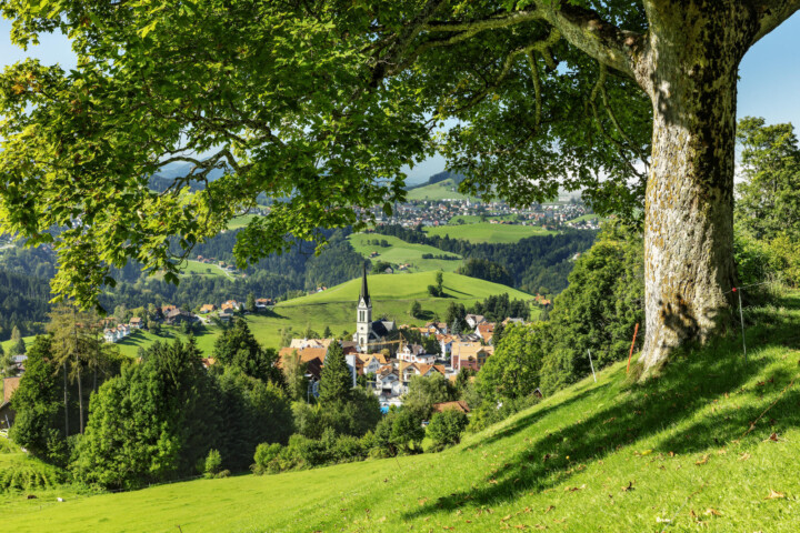 Appenzell, Appenzell Ausserrohden, Appenzeller Vorderland, Autumn, Baum, Bäume, Dorf, Fall, Herbst, Kirche, Kultur, Kulturbauten, Ostschweiz, Rehetobel, Schweiz, Suisse, Switzerland, Tree, Trees, Wald