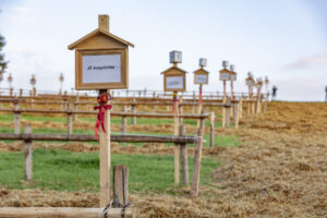 Appenzell, Appenzell Ausserrohden, Schweiz, Schwellbrunn, Sennen, Suisse, Switzerland, Tracht, Viehschau, tradition