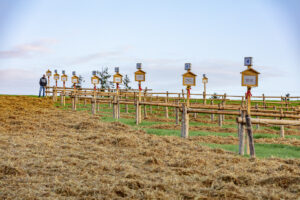 Appenzell, Appenzell Ausserrohden, Schweiz, Schwellbrunn, Sennen, Suisse, Switzerland, Tracht, Viehschau, tradition
