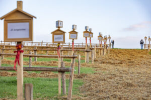 Appenzell, Appenzell Ausserrohden, Schweiz, Schwellbrunn, Sennen, Suisse, Switzerland, Tracht, Viehschau, tradition