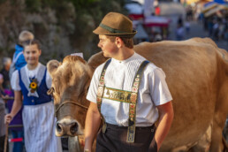 Appenzell, Appenzell Ausserrohden, Schweiz, Schwellbrunn, Sennen, Suisse, Switzerland, Tracht, Viehschau, tradition