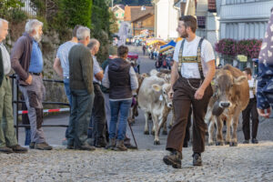 Appenzell, Appenzell Ausserrohden, Schweiz, Schwellbrunn, Sennen, Suisse, Switzerland, Tracht, Viehschau, tradition