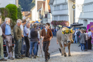 Appenzell, Appenzell Ausserrohden, Schweiz, Schwellbrunn, Sennen, Suisse, Switzerland, Tracht, Viehschau, tradition