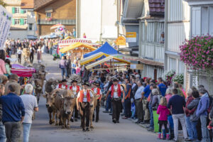 Appenzell, Appenzell Ausserrohden, Schweiz, Schwellbrunn, Sennen, Suisse, Switzerland, Tracht, Viehschau, tradition
