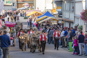 Appenzell, Appenzell Ausserrohden, Schweiz, Schwellbrunn, Sennen, Suisse, Switzerland, Tracht, Viehschau, tradition