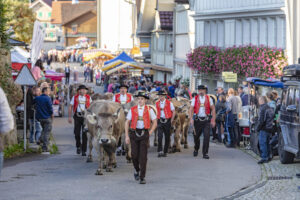 Appenzell, Appenzell Ausserrohden, Schweiz, Schwellbrunn, Sennen, Suisse, Switzerland, Tracht, Viehschau, tradition