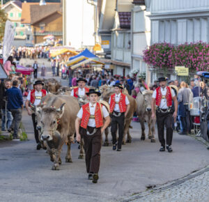 Appenzell, Appenzell Ausserrohden, Schweiz, Schwellbrunn, Sennen, Suisse, Switzerland, Tracht, Viehschau, tradition