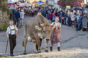 Appenzell, Appenzell Ausserrohden, Schweiz, Schwellbrunn, Sennen, Suisse, Switzerland, Tracht, Viehschau, tradition
