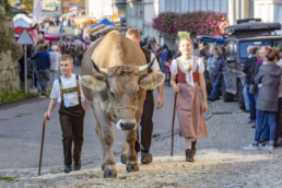 Appenzell, Appenzell Ausserrohden, Schweiz, Schwellbrunn, Sennen, Suisse, Switzerland, Tracht, Viehschau, tradition