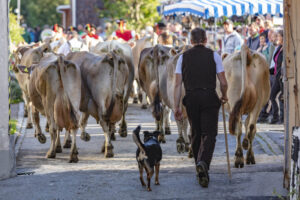 Appenzell, Appenzell Ausserrohden, Schweiz, Schwellbrunn, Sennen, Suisse, Switzerland, Tracht, Viehschau, tradition