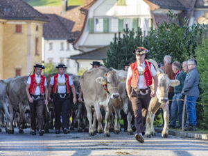 Appenzell, Appenzell Ausserrohden, Schweiz, Schwellbrunn, Sennen, Suisse, Switzerland, Tracht, Viehschau, tradition
