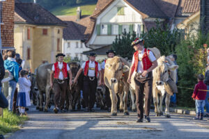 Appenzell, Appenzell Ausserrohden, Schweiz, Schwellbrunn, Sennen, Suisse, Switzerland, Tracht, Viehschau, tradition