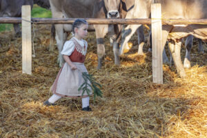 Appenzell, Appenzell Ausserrohden, Schweiz, Schwellbrunn, Sennen, Suisse, Switzerland, Tracht, Viehschau, tradition