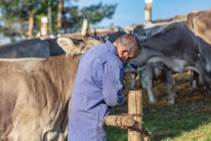 Appenzell, Appenzell Ausserrohden, Schweiz, Schwellbrunn, Sennen, Suisse, Switzerland, Tracht, Viehschau, tradition