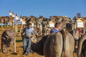 Appenzell, Appenzell Ausserrohden, Schweiz, Schwellbrunn, Sennen, Suisse, Switzerland, Tracht, Viehschau, tradition