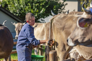 Appenzell, Appenzell Ausserrohden, Schweiz, Schwellbrunn, Sennen, Suisse, Switzerland, Tracht, Viehschau, tradition