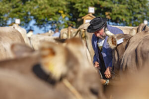 Appenzell, Appenzell Ausserrohden, Schweiz, Schwellbrunn, Sennen, Suisse, Switzerland, Tracht, Viehschau, tradition