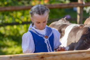 Appenzell, Appenzell Ausserrohden, Schweiz, Schwellbrunn, Sennen, Suisse, Switzerland, Tracht, Viehschau, tradition