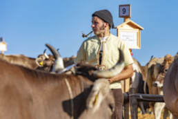 Appenzell, Appenzell Ausserrohden, Schweiz, Schwellbrunn, Sennen, Suisse, Switzerland, Tracht, Viehschau, tradition