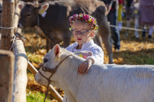 Appenzell, Appenzell Ausserrohden, Schweiz, Schwellbrunn, Sennen, Suisse, Switzerland, Tracht, Viehschau, tradition
