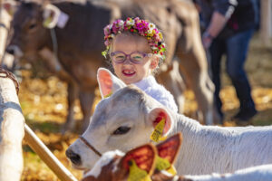 Appenzell, Appenzell Ausserrohden, Schweiz, Schwellbrunn, Sennen, Suisse, Switzerland, Tracht, Viehschau, tradition