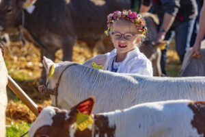 Appenzell, Appenzell Ausserrohden, Schweiz, Schwellbrunn, Sennen, Suisse, Switzerland, Tracht, Viehschau, tradition