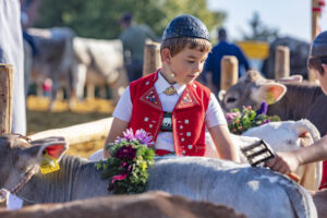 Appenzell, Appenzell Ausserrohden, Schweiz, Schwellbrunn, Sennen, Suisse, Switzerland, Tracht, Viehschau, tradition
