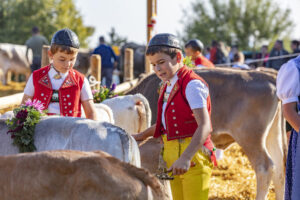 Appenzell, Appenzell Ausserrohden, Schweiz, Schwellbrunn, Sennen, Suisse, Switzerland, Tracht, Viehschau, tradition