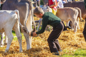 Appenzell, Appenzell Ausserrohden, Schweiz, Schwellbrunn, Sennen, Suisse, Switzerland, Tracht, Viehschau, tradition