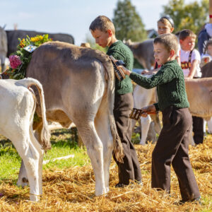 Appenzell, Appenzell Ausserrohden, Schweiz, Schwellbrunn, Sennen, Suisse, Switzerland, Tracht, Viehschau, tradition