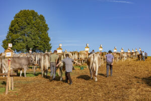 Appenzell, Appenzell Ausserrohden, Schweiz, Schwellbrunn, Sennen, Suisse, Switzerland, Tracht, Viehschau, tradition