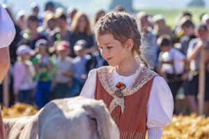 Appenzell, Appenzell Ausserrohden, Schweiz, Schwellbrunn, Sennen, Suisse, Switzerland, Tracht, Viehschau, tradition