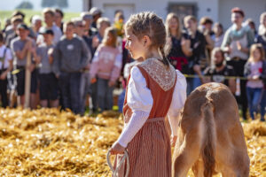 Appenzell, Appenzell Ausserrohden, Schweiz, Schwellbrunn, Sennen, Suisse, Switzerland, Tracht, Viehschau, tradition