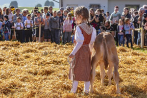 Appenzell, Appenzell Ausserrohden, Schweiz, Schwellbrunn, Sennen, Suisse, Switzerland, Tracht, Viehschau, tradition