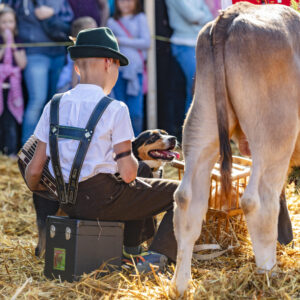 Appenzell, Appenzell Ausserrohden, Schweiz, Schwellbrunn, Sennen, Suisse, Switzerland, Tracht, Viehschau, tradition