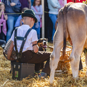 Appenzell, Appenzell Ausserrohden, Schweiz, Schwellbrunn, Sennen, Suisse, Switzerland, Tracht, Viehschau, tradition