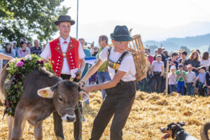 Appenzell, Appenzell Ausserrohden, Schweiz, Schwellbrunn, Sennen, Suisse, Switzerland, Tracht, Viehschau, tradition
