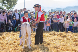 Appenzell, Appenzell Ausserrohden, Schweiz, Schwellbrunn, Sennen, Suisse, Switzerland, Tracht, Viehschau, tradition