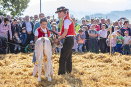Appenzell, Appenzell Ausserrohden, Schweiz, Schwellbrunn, Sennen, Suisse, Switzerland, Tracht, Viehschau, tradition
