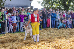 Appenzell, Appenzell Ausserrohden, Schweiz, Schwellbrunn, Sennen, Suisse, Switzerland, Tracht, Viehschau, tradition