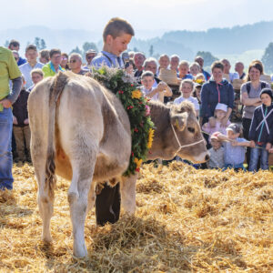 Appenzell, Appenzell Ausserrohden, Schweiz, Schwellbrunn, Sennen, Suisse, Switzerland, Tracht, Viehschau, tradition