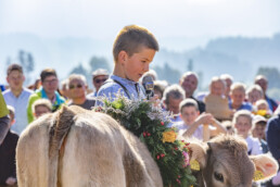 Appenzell, Appenzell Ausserrohden, Schweiz, Schwellbrunn, Sennen, Suisse, Switzerland, Tracht, Viehschau, tradition