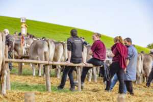 Appenzell, Appenzell Ausserrohden, Schweiz, Schwellbrunn, Sennen, Suisse, Switzerland, Tracht, Viehschau, tradition