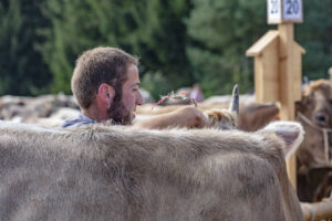 Appenzell, Appenzell Ausserrohden, Schweiz, Schwellbrunn, Sennen, Suisse, Switzerland, Tracht, Viehschau, tradition