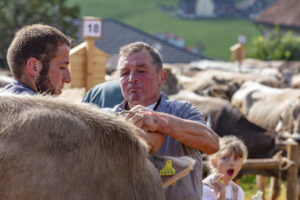 Appenzell, Appenzell Ausserrohden, Schweiz, Schwellbrunn, Sennen, Suisse, Switzerland, Tracht, Viehschau, tradition