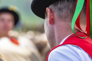 Appenzell, Appenzell Ausserrohden, Schweiz, Schwellbrunn, Sennen, Suisse, Switzerland, Tracht, Viehschau, tradition