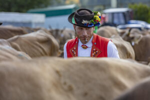 Appenzell, Appenzell Ausserrohden, Schweiz, Schwellbrunn, Sennen, Suisse, Switzerland, Tracht, Viehschau, tradition